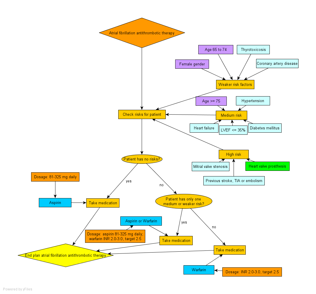 Atrial Fibrillation Diagnosis And Treatment American